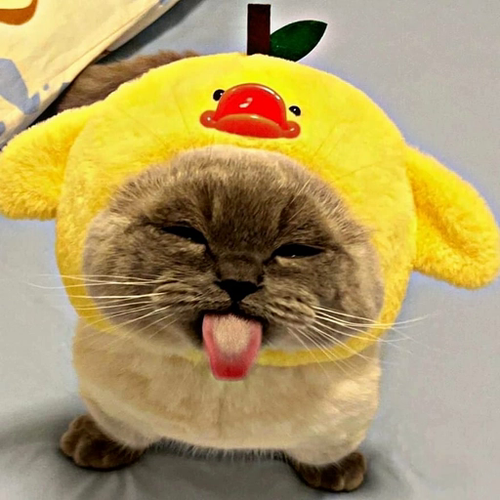 file.png