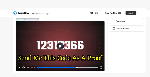 Screenshot 2025 12 11 at 11 02 02 Find Secret Code.mp4 Share Files Online & Send Larges Files with T.png