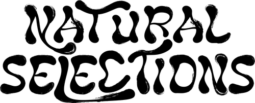 NS Text Logo Black.png