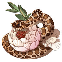 imageedit 1 6955604006.png