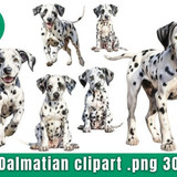 Dalmatian clipart 80134196