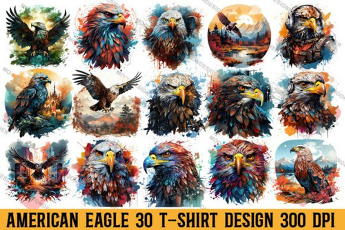 American Eagle TShirt.jpg