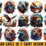 American Eagle TShirt