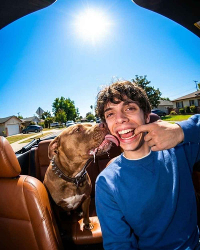 PROMPT DOG RIDE.jpg