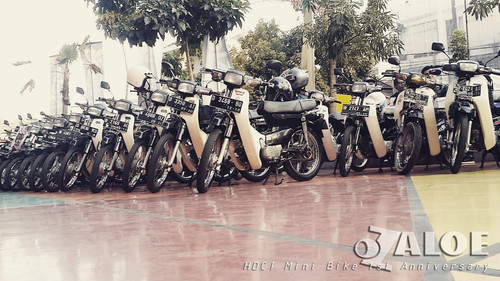 WhatsApp Image 2025 12 11 at 14.14.36.jpg