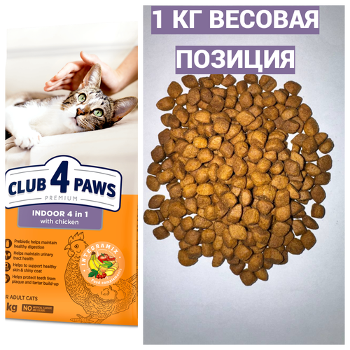 Blank 2 Grids Collage (2).png