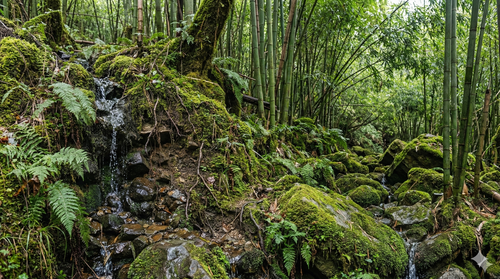 Gemini Generated Image rz7j1brz7j1brz7j.png