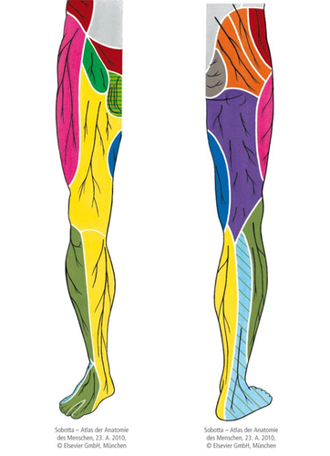 32f753f68306.png