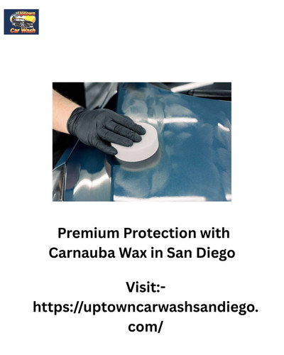 Premium Protection with Carnauba Wax in San Diego.jpg