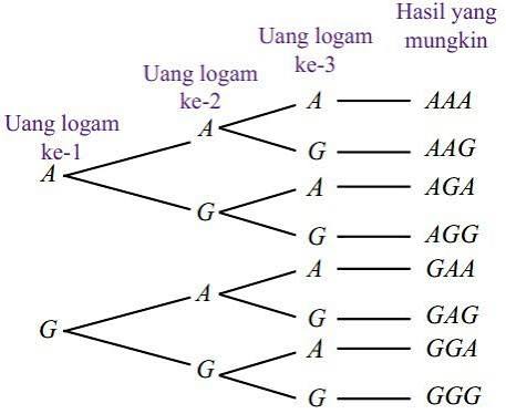 WhatsApp Image 2025 12 11 at 18.12.48.jpg