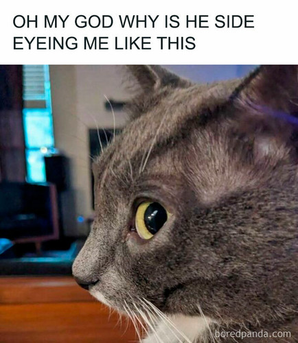 d2b41e52 b5dc 475d a2de 2ce6adcf619d.jpg