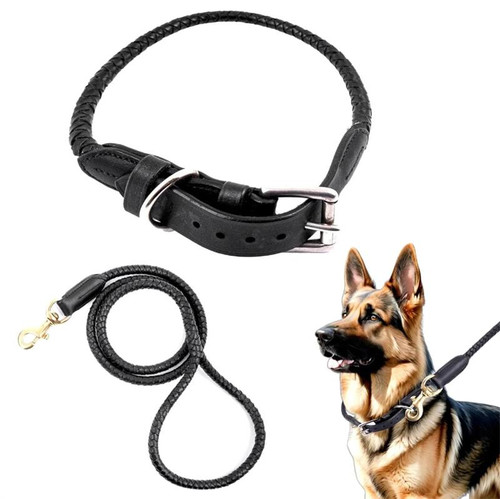 Waterproof Heavy-Duty Dog Collar for Tough Use.jpg
