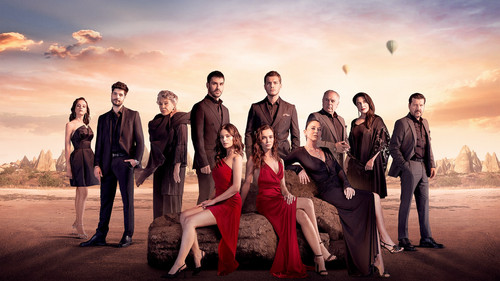 VoH WebBanner min.jpg