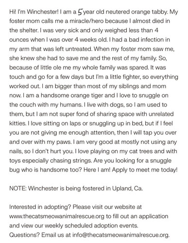 G7WsQJ6boAAct 2?format=jpg.jpg