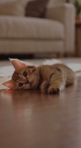 f54edf89 c414 21aa 3cab 93874013143b last.jpg