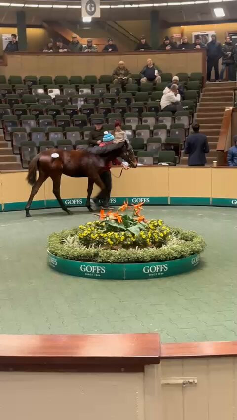 5c8GPZkOZ EE9AON.jpg