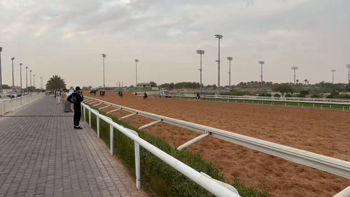 BT4PhlwORT fCZ5m.jpg