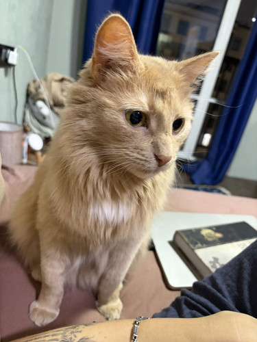 G7f9 V2XMAA6oMb?format=jpg.jpg