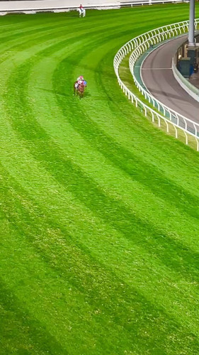 Vn bdwzJQss60O3l.jpg