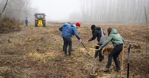 1692004748013968695?url=https%3A%2F%2Ffelvidek.ma%2Fwp content%2Fuploads%2F2025%2F12%2Fcico.jpg&fb o.jpg