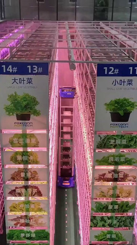 OrljNpz ADBunzxe.jpg