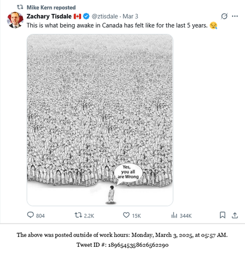 20250303 055704 1896545358626562290.png