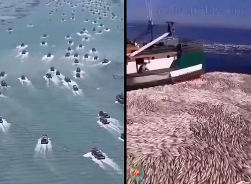 yfODi16uifTv1tuz.jpg