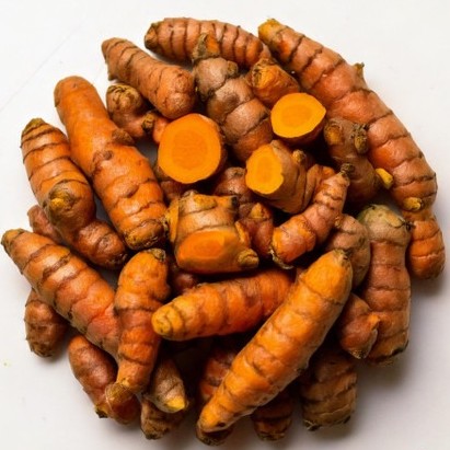 15 row turmeric 5l7j silba origi.jpg