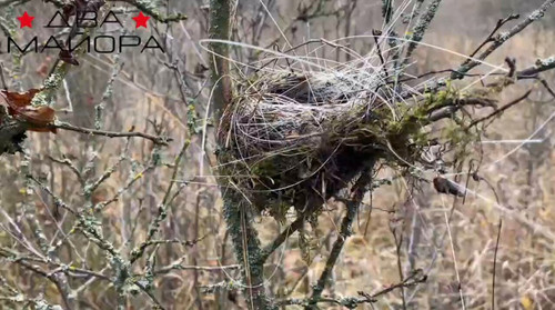 KbTXrNxqPjdqOJ c.jpg