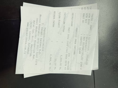 90551 lizziex031 5000 1765475149789 805390768 resized.jpg