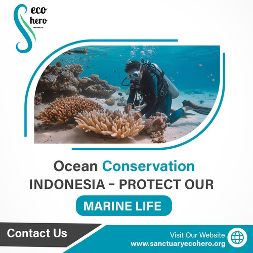 Ocean Conservation Indonesia – Protect Our Marine Life.jpg