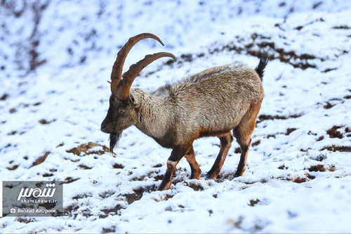 Qe0QIzrhkeUdv80XoYnbIwMNG SOmAGfFYPuqYoRpM2rcy2opUOPMkU87 3vXUZH3zbdBa2ykfU0DVqHzUhwBFJ7yISbDQNHAjG9.jpg