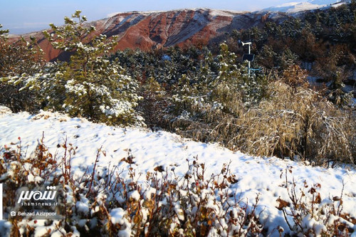 wBWRBR7s T1v59 wNpu3WNhUUJsJzljz xtvT9lw64CVfZiER g cQ97dLfJ0G8mMZG9U4ZNrnsYs 9o148ByzRGum3p7AQroecT.jpg