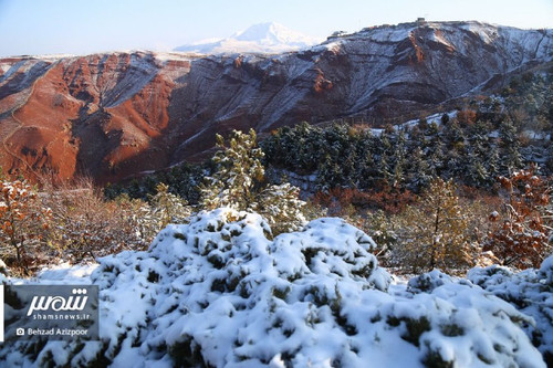 NBnEHuTB3B7yGR9UYa0EOTSED WSLLw9BenhHSfC4VFOHy7RRzEmzxVdAVrjFtJy3k6ZHrxJ1pZvpi4DGhFQq8UDI8qwVdr IA7p.jpg