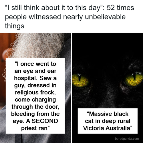 curiosities stories people.png