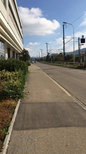 5x1w6LeS0tvjFnP .jpg