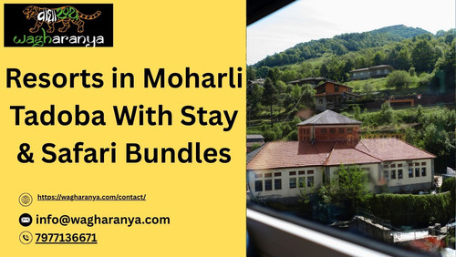 Top Resorts in Moharli Tadoba for a Luxurious Wildlife Stay.jpg