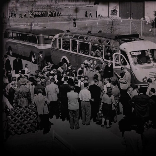 rNuBXI 59fys2Shv.jpg