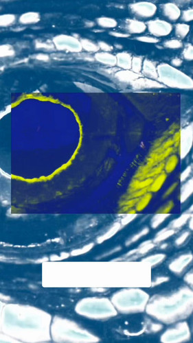 wsuTZ7oIAIpbCW 9.jpg