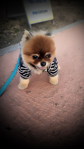 KakaoTalk 20250322 201831123 19.jpg