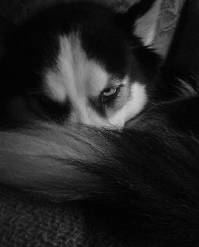 uVZZsMU8TCJqb7pok5QTONq UWLXCqeLvF6hXAaqpfiGEeywNlG2YPgYvCeeAUMnLdOrOqPHCNBffsbYBRhg5cd0iEYLtp HNMFv.jpg