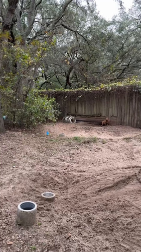 3 52JemqjDrbRPxB.jpg