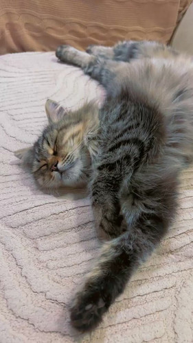 3ctER FcgNUP8uSj.jpg