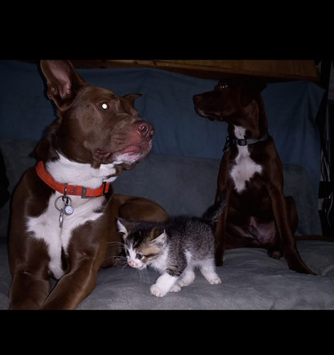 24853637 7b59 42c4 a4c1 ff6e0636948b.jpg