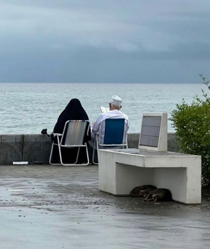 G75wmTcWIAA l0S?format=jpg.jpg