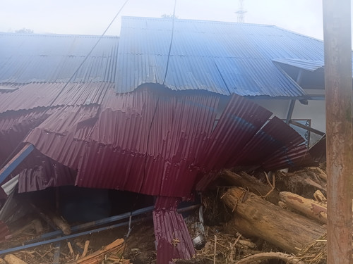 8d950864 5fa1 4ba9 b0cd 91f9f4833e06.jpg