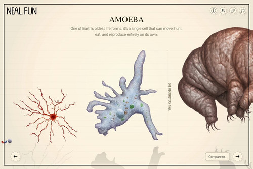 H MGBreB9vwHf 8n.jpg