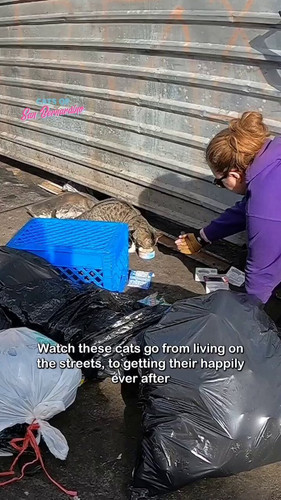 Y 0WkJJaSQYfruWK.jpg