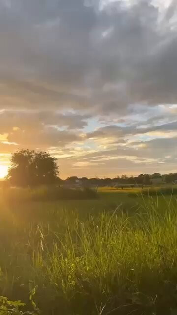 EGurpaGPgsf7Ot t.jpg