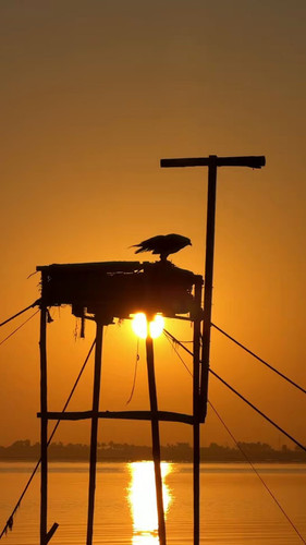 YGrgmm if0ZJoOoj.jpg